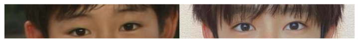 紀田直哉の昔と現愛の目元の比較