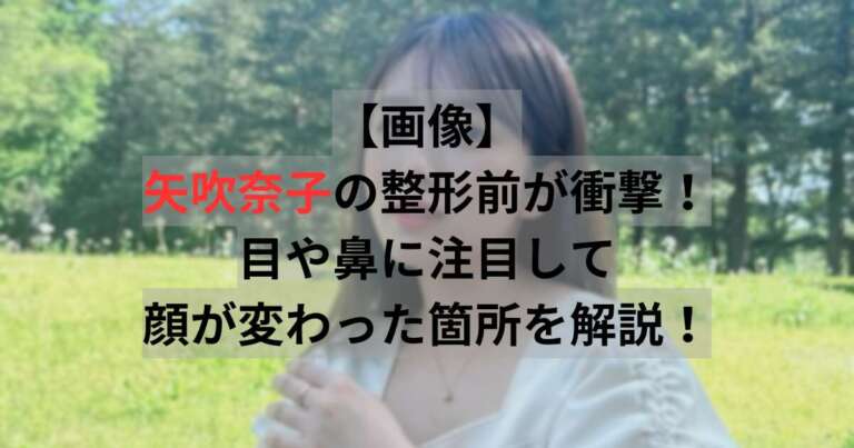 矢吹奈子　整形