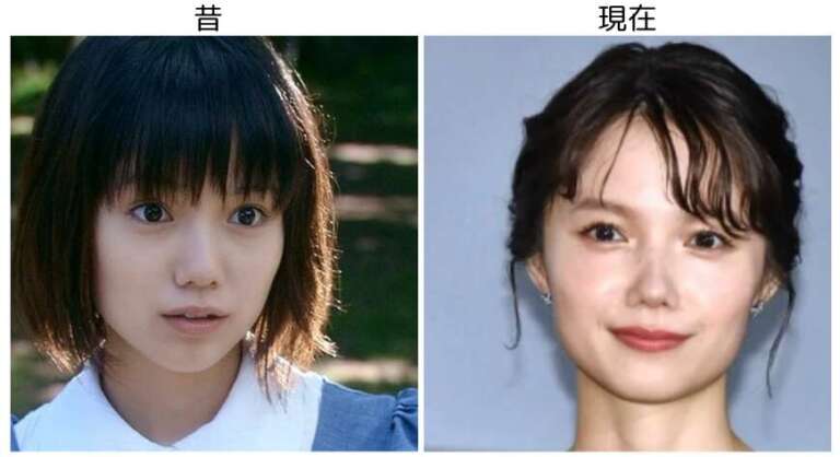 宮崎あおい 老けない
