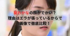 葵わかなの顔がでかい？理由はエラが張っているからで画像で徹底比較！